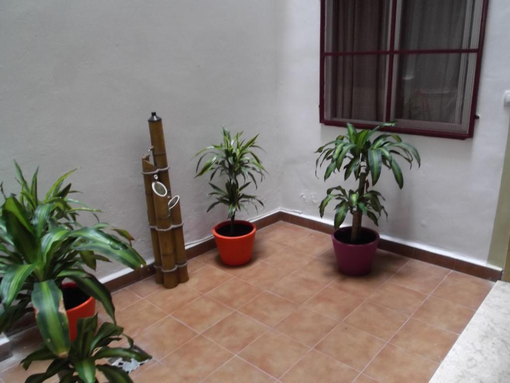 Colonia Guest house