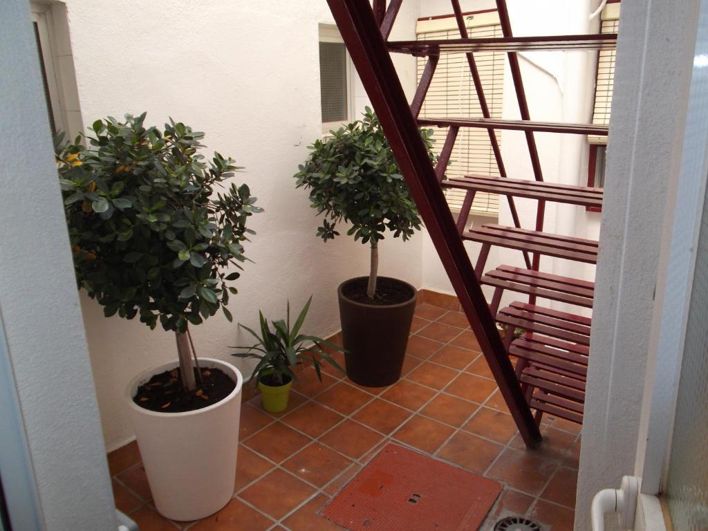 Colonia Guest house *